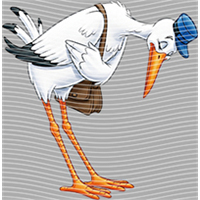 Disney Style-DSN 685